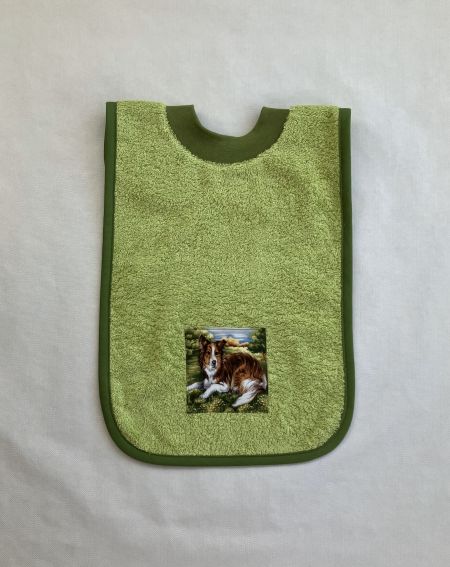 38 schlupflaetzchen hunde liegender collie